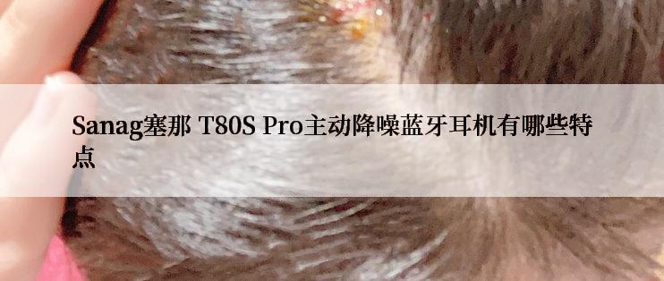 Sanag塞那 T80S Pro主动降噪蓝牙耳机有哪些特点