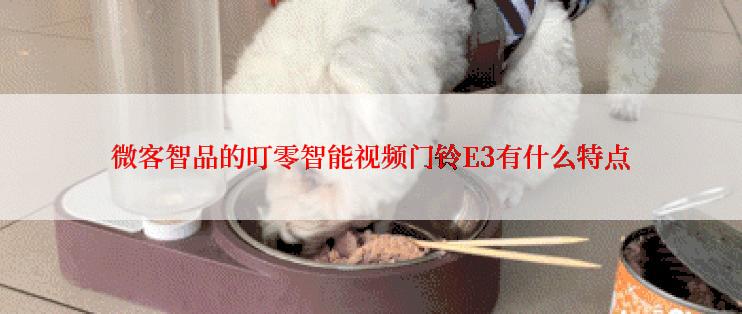 微客智品的叮零智能视频门铃E3有什么特点