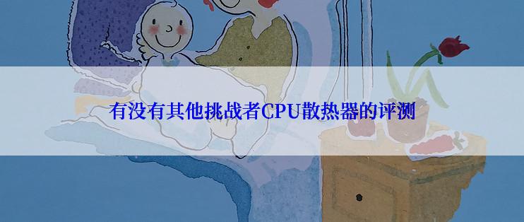 有没有其他挑战者CPU散热器的评测