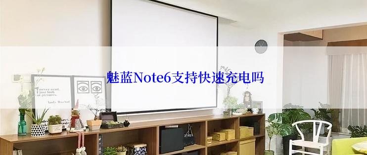  魅蓝Note6支持快速充电吗