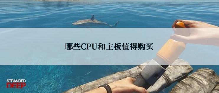 哪些CPU和主板值得购买