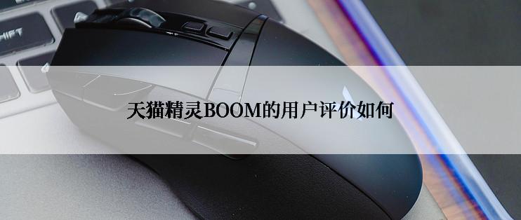 天猫精灵BOOM的用户评价如何