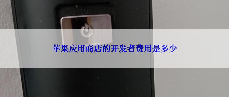 苹果应用商店的开发者费用是多少