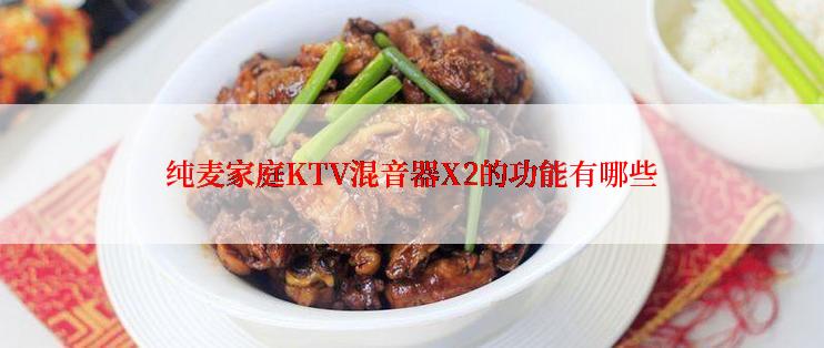 纯麦家庭KTV混音器X2的功能有哪些