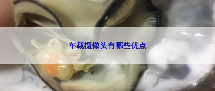 车载摄像头有哪些优点