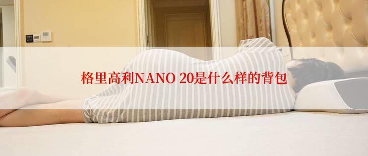 格里高利NANO 20是什么样的背包