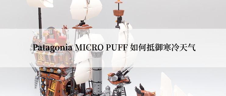  Patagonia MICRO PUFF 如何抵御寒冷天气