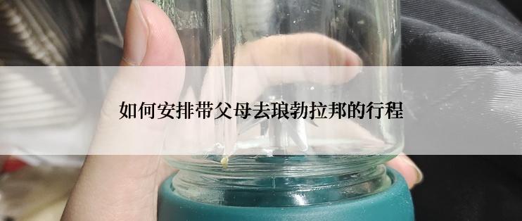 如何安排带父母去琅勃拉邦的行程