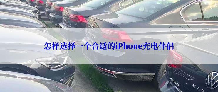 怎样选择一个合适的iPhone充电伴侣