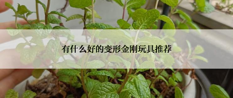 有什么好的变形金刚玩具推荐