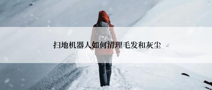  扫地机器人如何清理毛发和灰尘