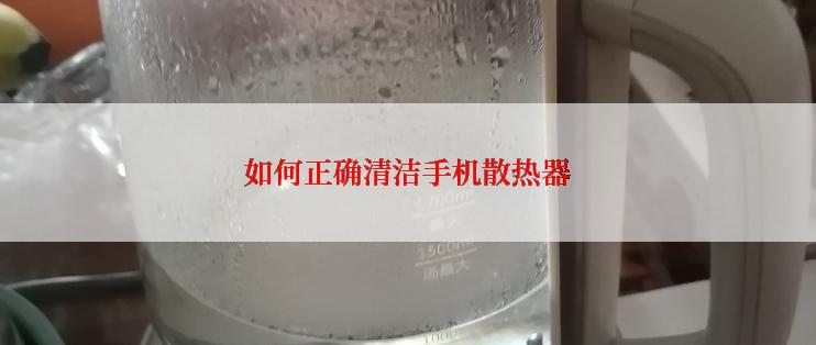 如何正确清洁手机散热器