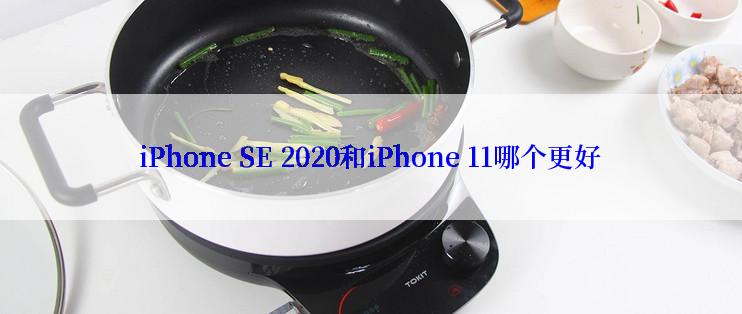 iPhone SE 2020和iPhone 11哪个更好