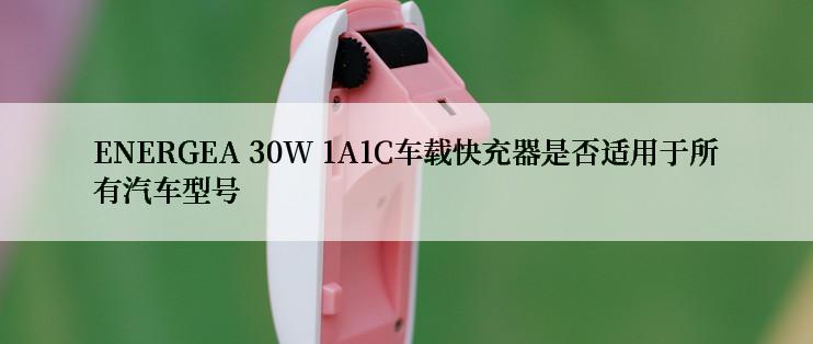 ENERGEA 30W 1A1C车载快充器是否适用于所有汽车型号