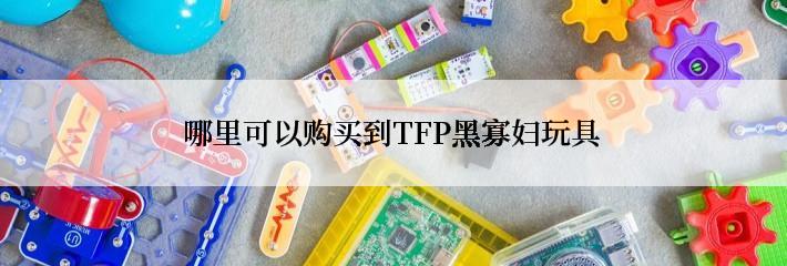 哪里可以购买到TFP黑寡妇玩具