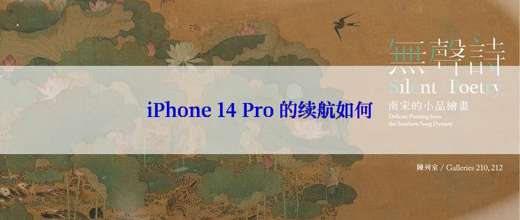 iPhone 14 Pro 的续航如何