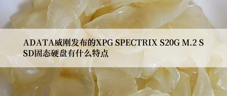 ADATA威刚发布的XPG SPECTRIX S20G M.2 SSD固态硬盘有什么特点