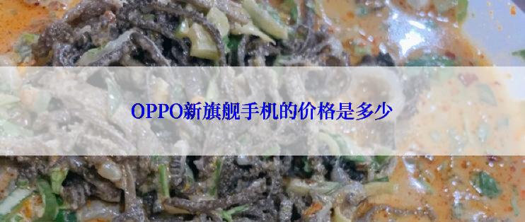 OPPO新旗舰手机的价格是多少