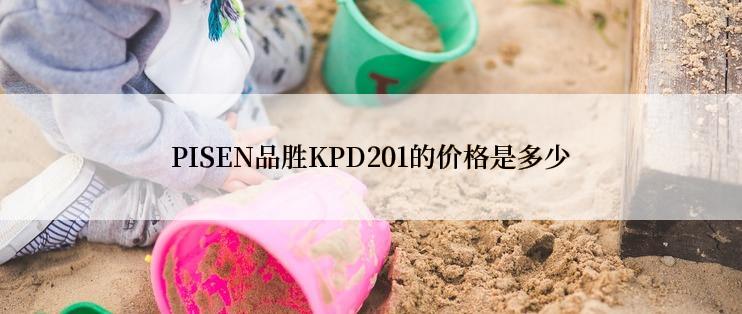 PISEN品胜KPD201的价格是多少