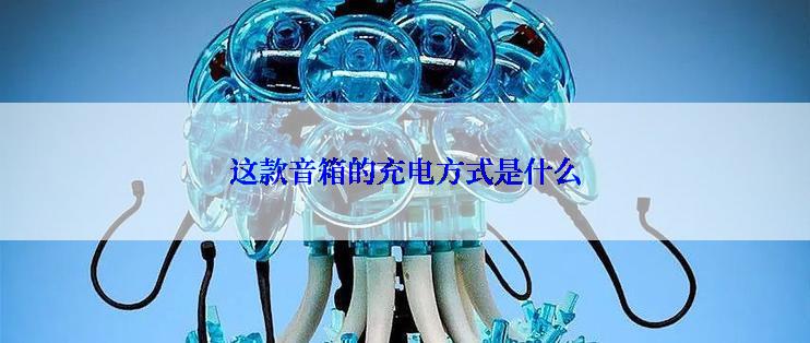 这款音箱的充电方式是什么