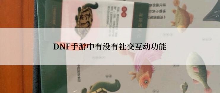 DNF手游中有没有社交互动功能