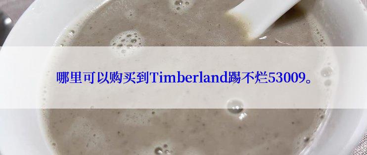 哪里可以购买到Timberland踢不烂53009。