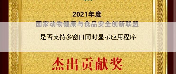 是否支持多窗口同时显示应用程序