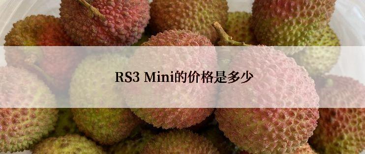  RS3 Mini的价格是多少