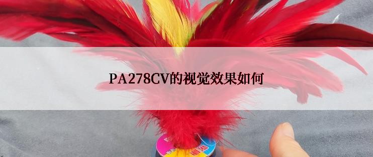 PA278CV的视觉效果如何