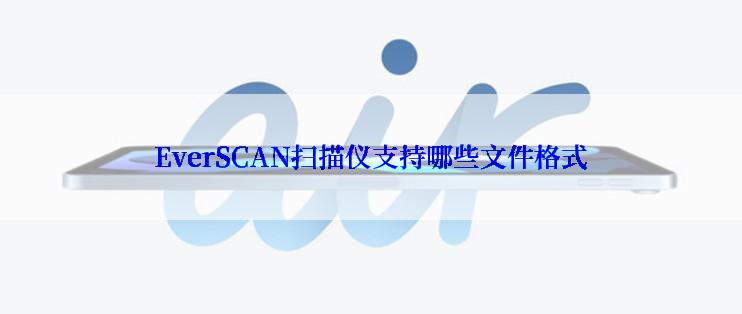 EverSCAN扫描仪支持哪些文件格式