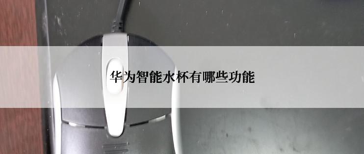 华为智能水杯有哪些功能