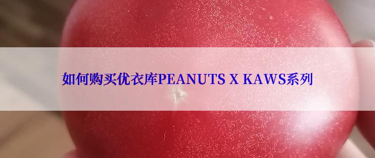 如何购买优衣库PEANUTS X KAWS系列