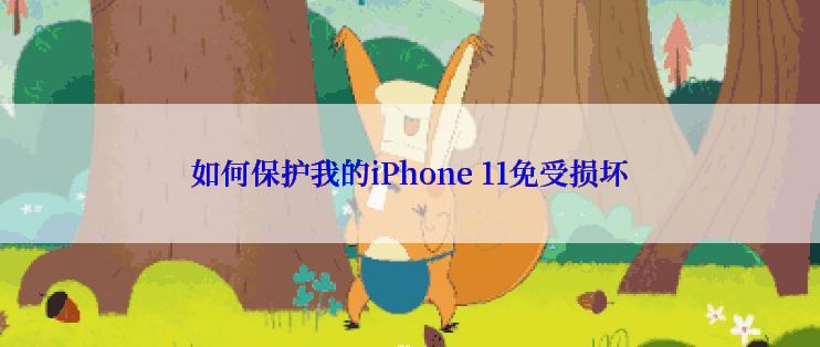 如何保护我的iPhone 11免受损坏