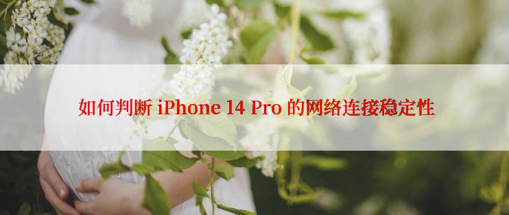  如何判断 iPhone 14 Pro 的网络连接稳定性