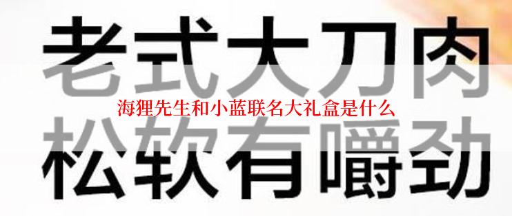 海狸先生和小蓝联名大礼盒是什么