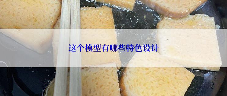 这个模型有哪些特色设计