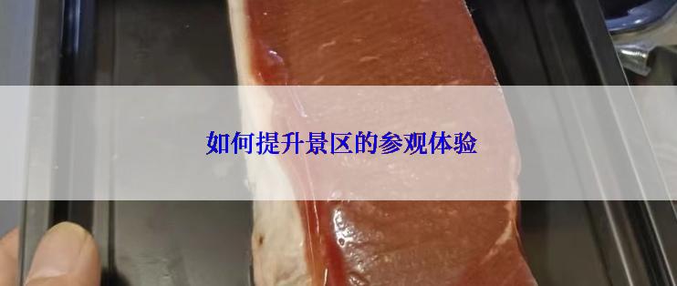  如何提升景区的参观体验