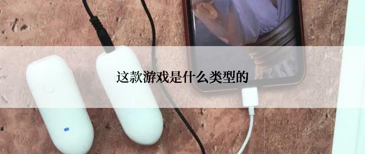 这款游戏是什么类型的