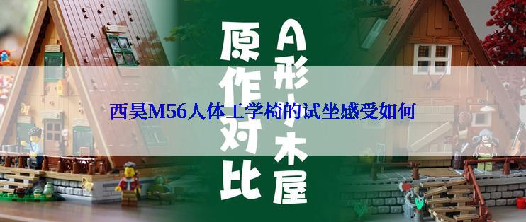 西昊M56人体工学椅的试坐感受如何