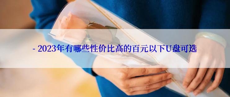 - 2023年有哪些性价比高的百元以下U盘可选