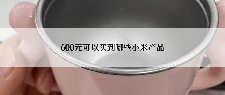 600元可以买到哪些小米产品