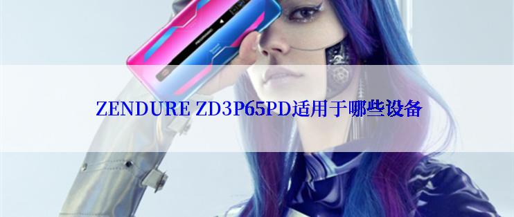  ZENDURE ZD3P65PD适用于哪些设备