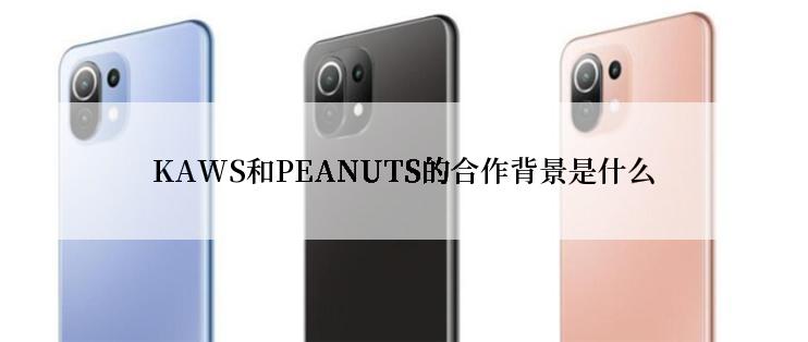 KAWS和PEANUTS的合作背景是什么