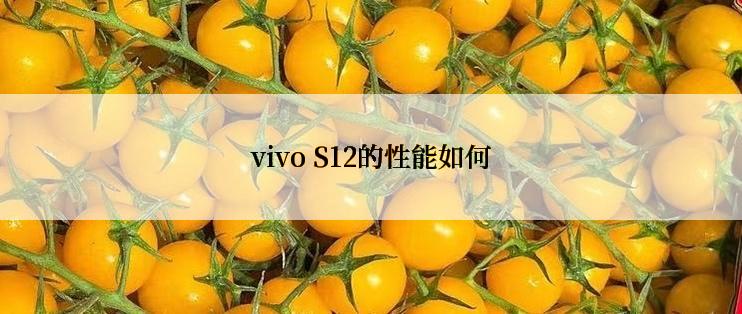 vivo S12的性能如何