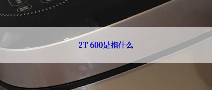 2T 600是指什么