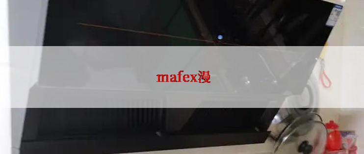  mafex漫