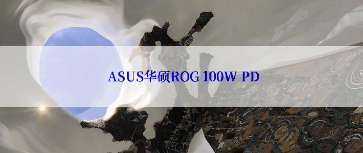  ASUS华硕ROG 100W PD