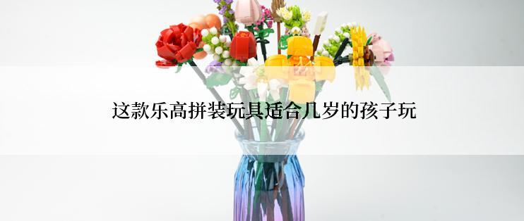  这款乐高拼装玩具适合几岁的孩子玩