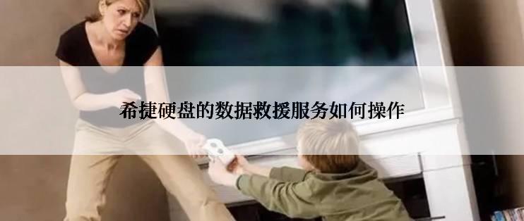 希捷硬盘的数据救援服务如何操作