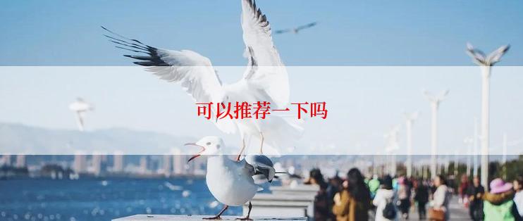 可以推荐一下吗